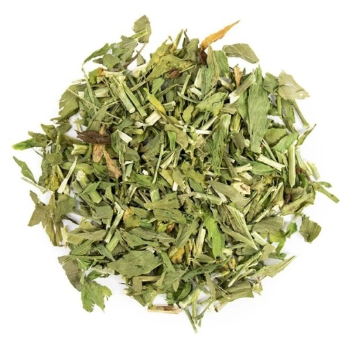 Hierba Ruda Planta 40G 