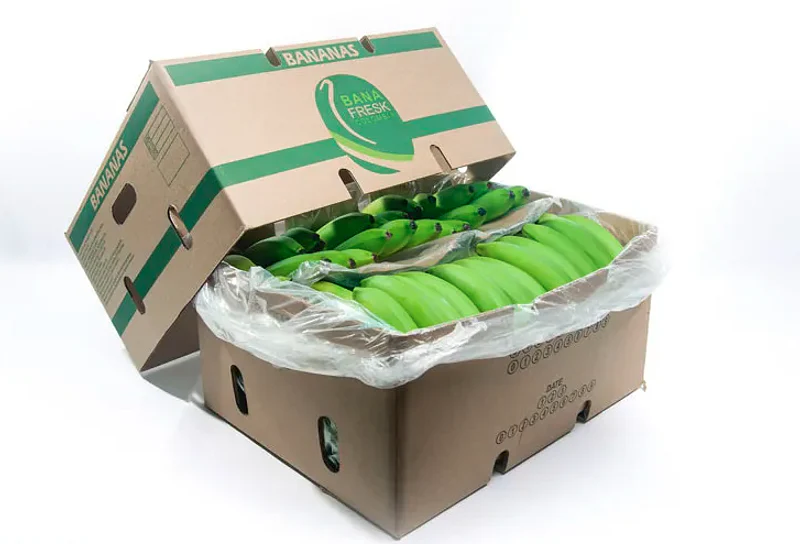 Caja De Platano Verde 22,5kg