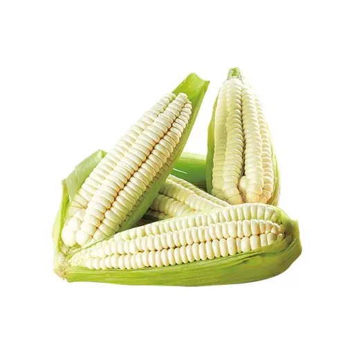 [4327475090098] Choclo Fresco (2Und)