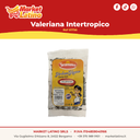 Valeriana Intertropico