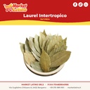 Laurel Intertropico