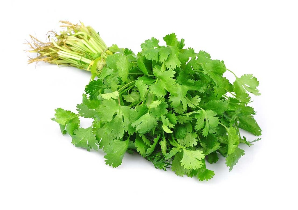 Cilantro,Yerbita (Por Und)
