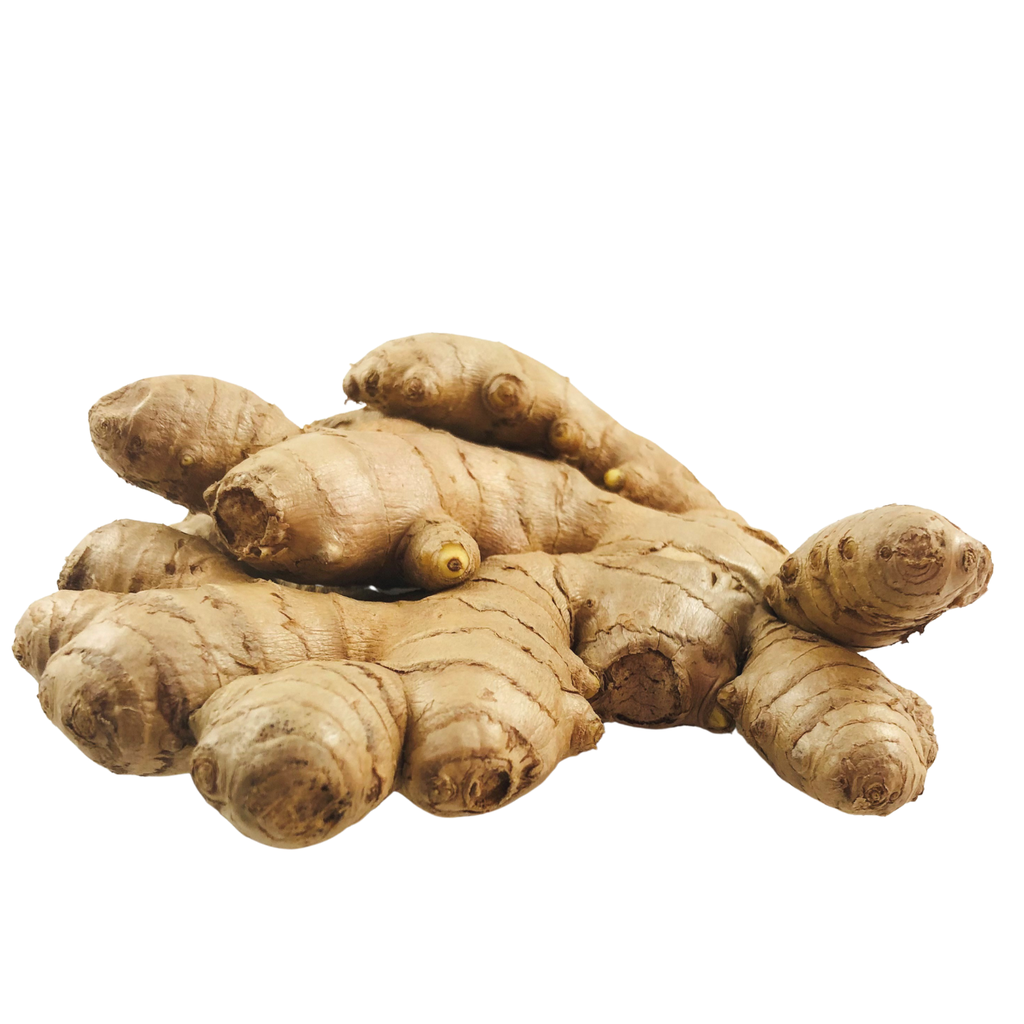 Ginger Jengibre, Kion, Jengibre, Gengibre Latino (Precio Por Kilo) raiz