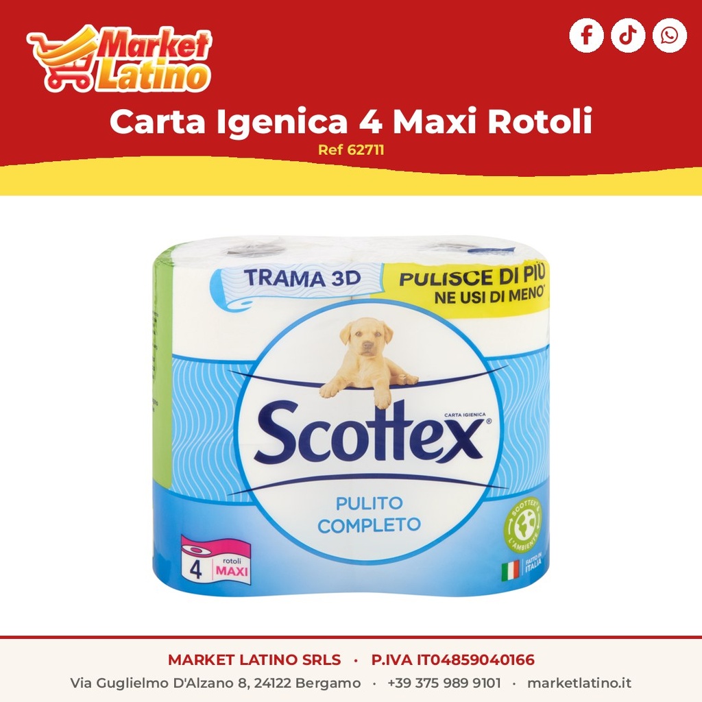 Carta Igenica 4 Maxi Rotoli