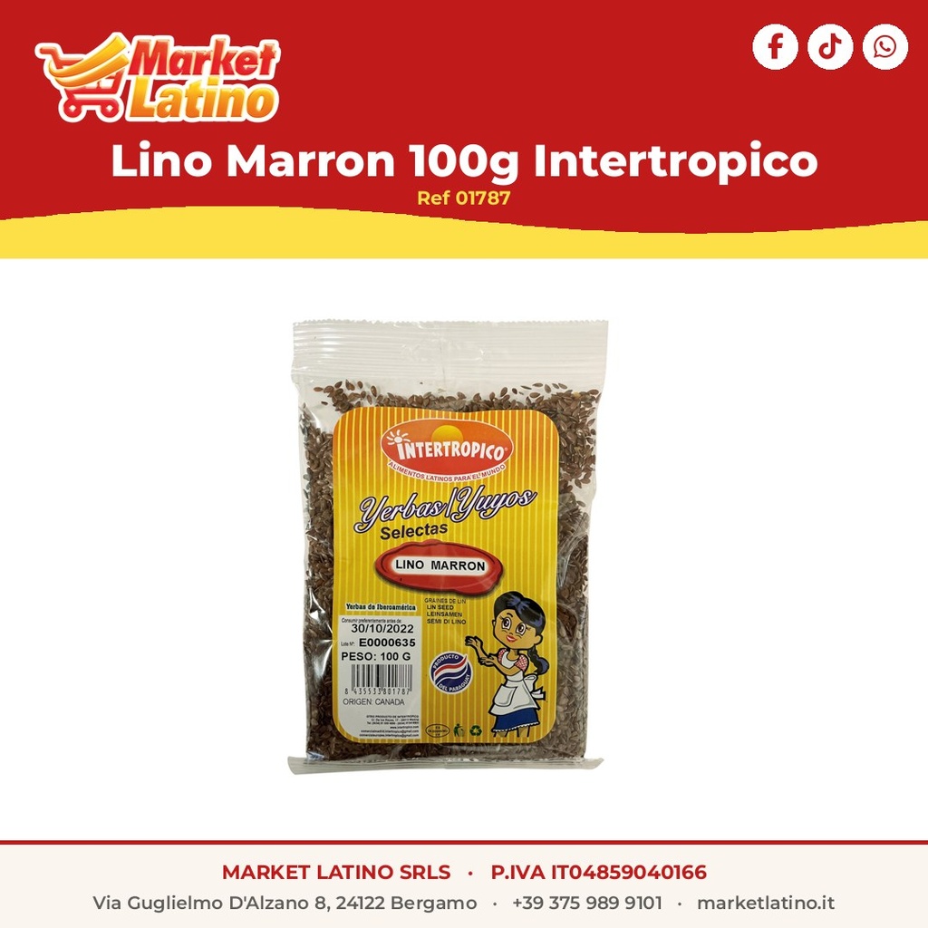 Lino Marron 100g Intertropico