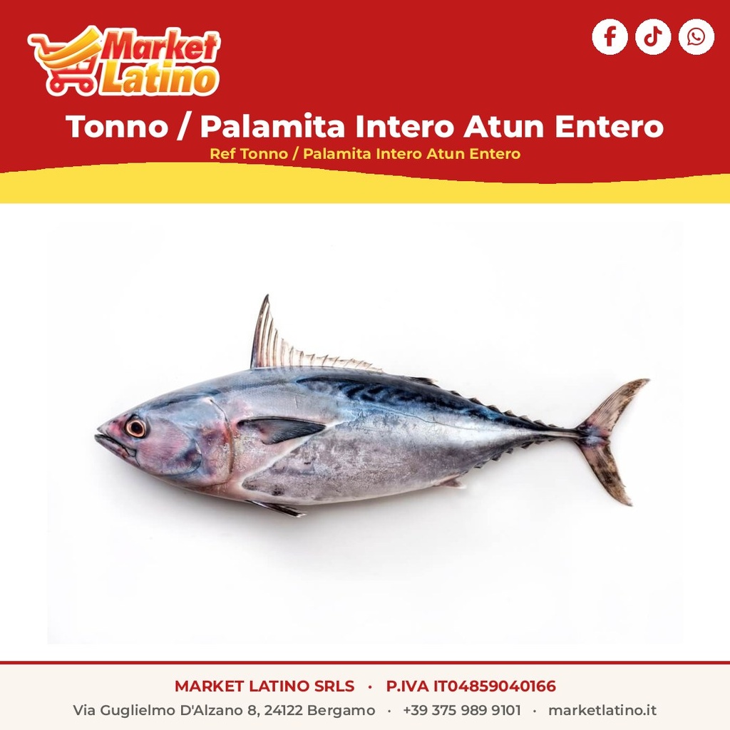 Tonno / Palamita Intero Atun Entero
