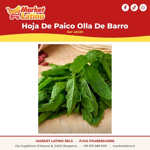 [48339] Hoja De Paico Olla De Barro