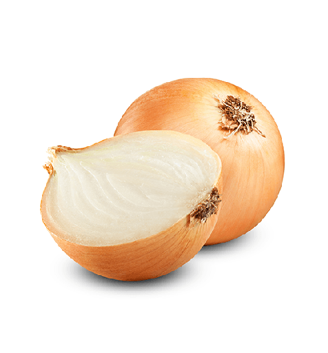 [cipolla cebolla] Cipolla Dorata (Precio Por Kg)