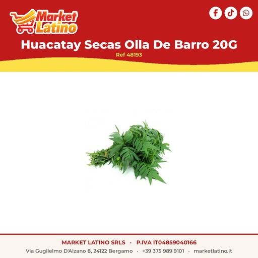 [48193] Huacatay Secas Olla De Barro 20g