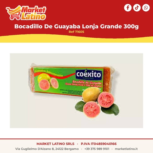 [71605] Bocadillo Di Guayaba Lonja Grande 300g